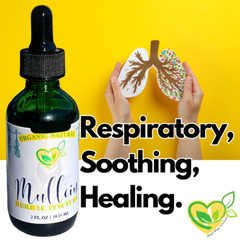 Mullein Leaf Tincture Natural Liquid Drops Extract 2 Oz Lungs Breath Respiratory