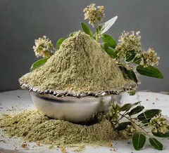 Bhringraj Powder Pure Organic Herbal for Hair Growth & Scalp (50 GM to 1000 GM)
