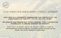Immune Booster: Immune Stimulating Defense – Made from Raw-Fresh-Organic Herbs