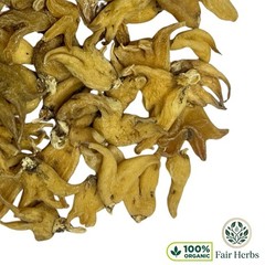 Salam Panja Whole & Powder | Himalayan Marsh Orchid | Dactylorhiza Hattagirea