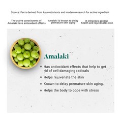 Himalaya Amalaki Tablets 60 x 15 | Natural Vitamin C Bulk Saver Pack | Free Ship