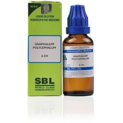 SBL Gnaphalium Polycephalum 6 CH Free Delivery 5 to 7 days