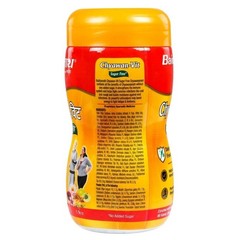Baidyanath Sugarfree Chyawan Vit 1kgm T321
