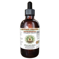 Pipsissewa (Chimaphila Umbellata) Tincture. Alcohol-FREE. Hawaii Pharm.