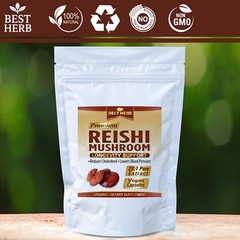 240 ORGANIC CAPSULES REISHI 20:1 EXTRACT MUSHROOM GANODERMA IMMUNE SYSTEM BOOST