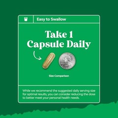 Green Tea Extract Capsules – 500mg Pure Leaf Green Tea 60 Count (Pack of 1)