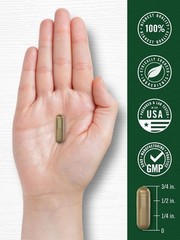 Sweet Wormwood 430 mg | 200 Capsules | Non-GMO & Gluten Free | By Carlyle
