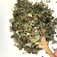 Calea Zacatechichi Dried Leaves | Mexican Dream Herb Loose Leaf