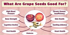 antioxidant garden of life – GRAPE SEED EXTRACT 150MG 1B – grape seed extract