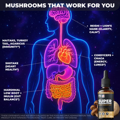 Lions Mane Cordyceps Shiitake Mushroom Drops 2oz Brain Memory Focus Energy