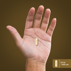 Cordyceps Mushroom | 2000mg | 200 Capsules | CS-4 Strain | by Piping Rock