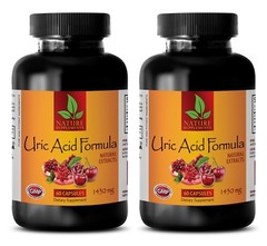 weight loss appetite suppressant – URIC ACID FORMULA NATURAL EXTRACTS 2B -kidney