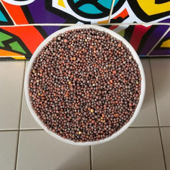 Organic Dried Broccoli Seeds بذور البروكلي Heirloom Sprouting Seeds