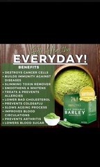 IAM Amazing Pure Organic Barley 1 Box Exp 2028 New Packaging