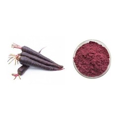 200g Black Radish Extract Powder 10:1