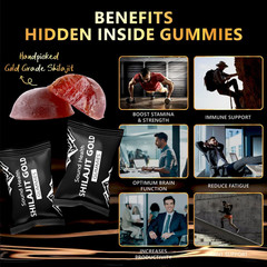 Sound Health Shilajit Gold Gummies | 3000mg 60 Count (Pack of 1)