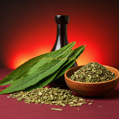 Damiana Leaf – Damiana Tea – Classic Herb for Mood Libido USA Free Shipping