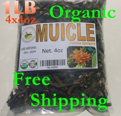 16oz Muicle Muitle Hierba/te Muycle Mexican Honeysuckle 100% organic herbs/tea