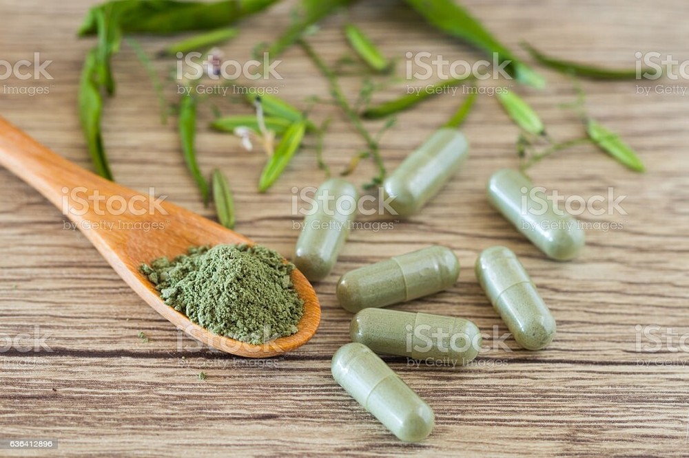 240 CAPSULES Dried Soursop Graviola Guanabana Leaves Organic Wild Crafted Herbs