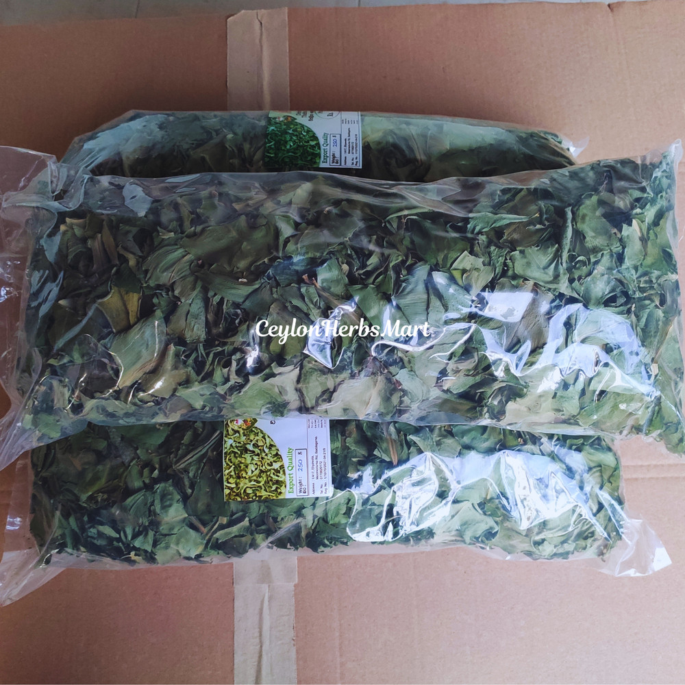 100% Organic Dried Insulin Plant Leaves ( Costus Igneus ) Thebu Leaf Herbal Tea