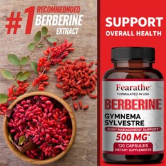 Berberine Supplements – Heart Healthy Gastrointestinal Tract Beneficial Balance