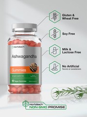Ashwagandha Gummies | 60 Count | Vegan, Non-GMO | Tropical Flavor | by Horbaach
