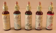 Bach Flower Remedies, Clematis 20ml. BBE 12/2029