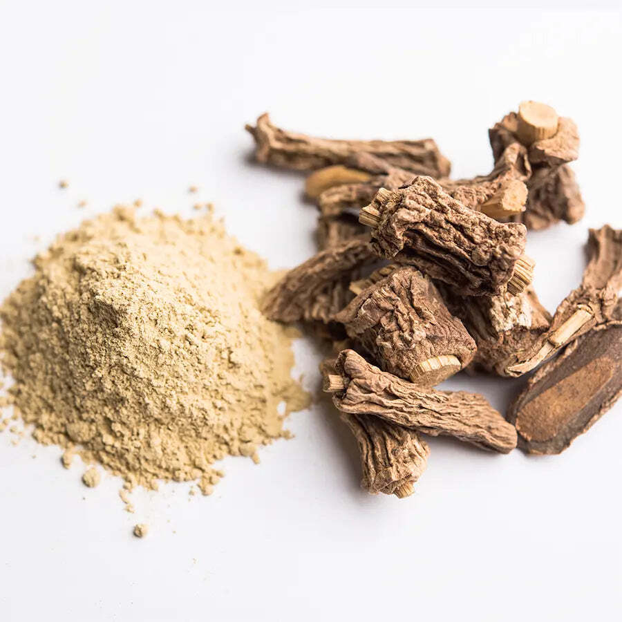WHOLESALE!! Sarsaparilla Root Powder (Smilax ornata) – Premium Quality