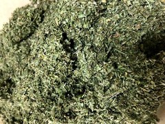 DAMIANA c/s bulk natural herb leaf organic wild crafted 1/4 lb pound (4 oz)