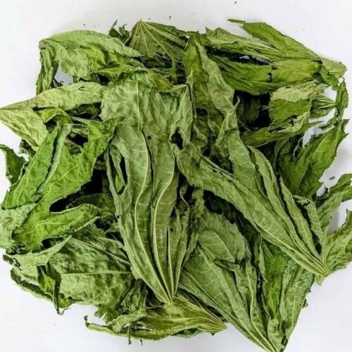 70g Castor Leaves – Whole Dried Organic Herbal Leaf Natural Premium Quality