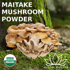 Maitake Mushroom Powder Best Organic USA grown Bio-Active Full Spectrum 1 Pound