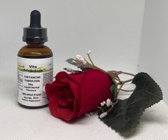 Cistanche Tubulosa Tincture Alcohol Free With FREE SAMPLE