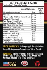 gout relief supplement – Uric Acid Formula 1430mg – rich in vitamin C 1 Bottle