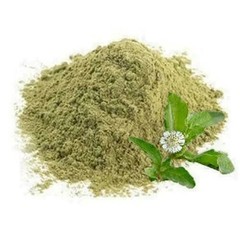 Bhringraj Powder Pure Organic Herbal for Hair Growth & Scalp (50 GM to 1000 GM)