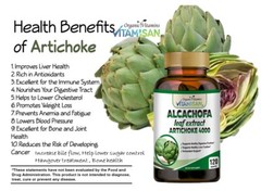 Artichoke Extract | 240 Capsules | Non-GMO & Gluten Free 2 BOTTLES