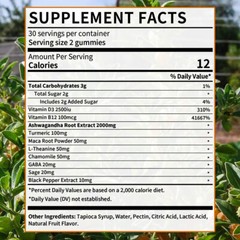 Ashwagandha Gummies – with Turmeric – Sleep Aid, Relieve Stress & Anxiety