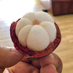 Skin Rejuvenation – MANGOSTEEN COMPLEX – Supporting Skin Health – 1B 60 Caps