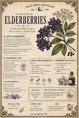 Organic Whole Elderberries (Sambucus nigra) – Dried