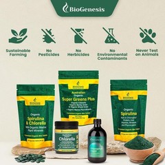Organic SuperGreens Powder 300g | Unflavored Chlorella, Spirulina, Wheatgrass |