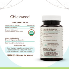 HerbEra Chickweed 60/120 Capsules, 500 mg, Organic (Stellaria Media)