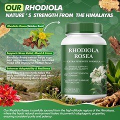 Rhodiola Rosea Supplement – Extract, 60 Count (Pack of 1)
