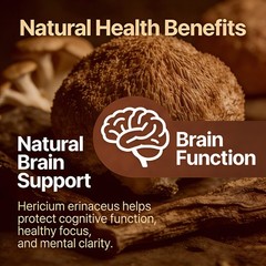 Immune Health Supplements Brain Focus Mental Clarity Cognitive 30-120 Capsules