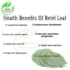 Betel Leaves ground powder Dried Organic Piper betle Paan / Paan Patha / Pann