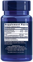 HOMOCYSTEINE RESIST HEART BRAIN VITAMINS B2 B6 B12 180 Vege Caps LIFE EXTENSION