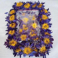 Blue Lotus |Nymphaea Caerulea| 100% Organic Herbal Hand Picked Flowers Tea