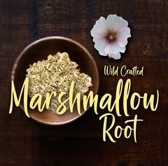 Marshmallow Root Extract Powder – Natural Althaea Apothecary- 2oz – Fast USA
