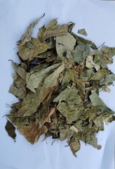 ARK PURE HERB Barna/Varuna/Crataeva nurvala leaves powder Natura Organic