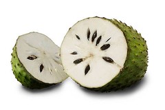 SOURSOP FRUIT powder 4oz 8oz 16oz 32oz 4lb 5lb 10lb Guanabana Graviola – Paje