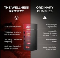 The Wellness Project Shilajit Gold Max 4000mg Gummies 60 Tamarind No Sugar