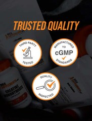 BulkSupplements Papaya Fruit Powder – 3.5g Per Serving